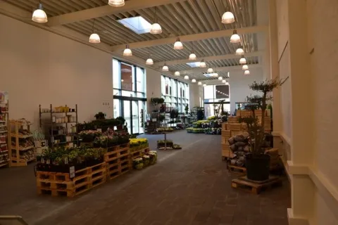 Butiksområde med blomster og planter på paller under et højt loft med hængelamper